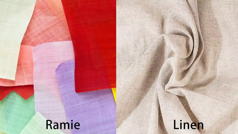 Ramie Fabric VS Linen: An In-Depth Comparison