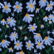 Black(blue daisy)